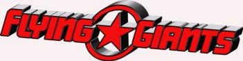 3 Dimensional Flying Giants decal - red rc digital decal
